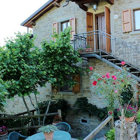 프라토베키오 Agriturismo Casa Pallino 아파트 외부 사진